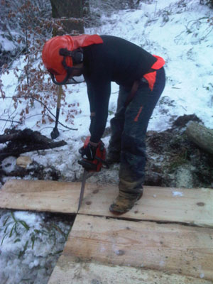 Steve showing his skills with a chainsaw